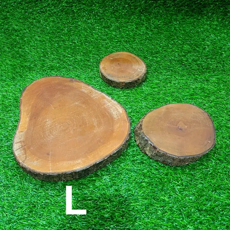 Log slices (L) for Rent
