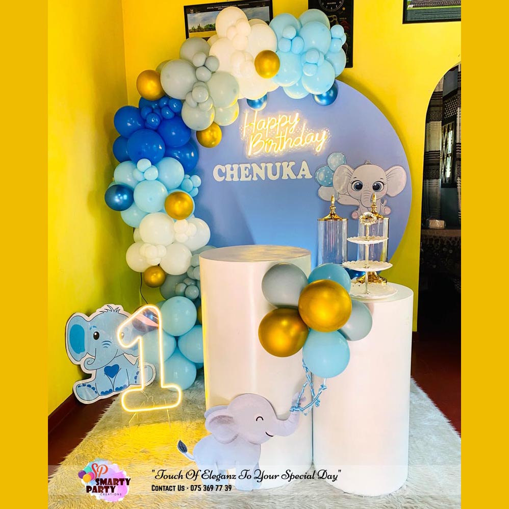 Baby Elephant Theme 1st Birthday