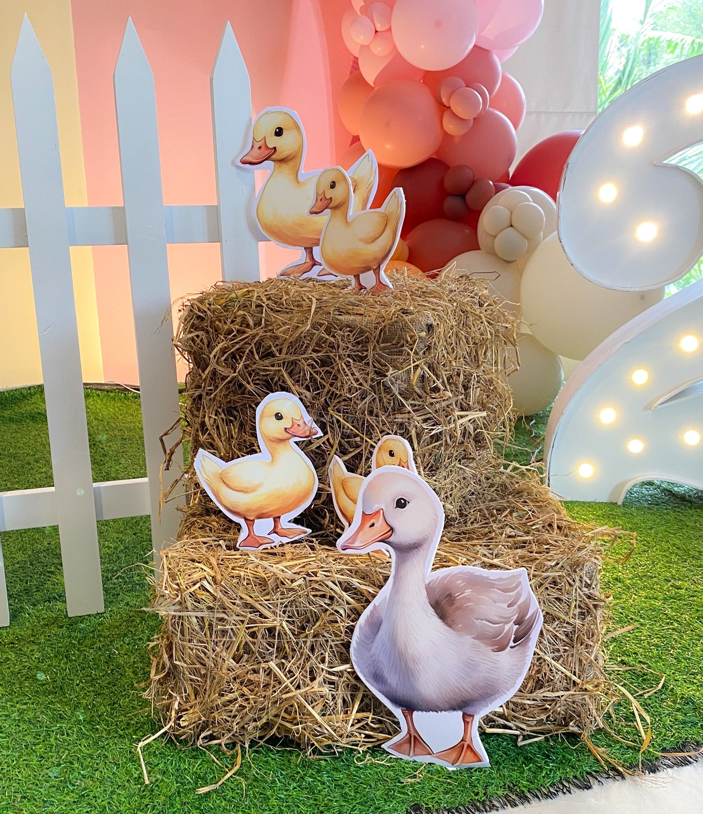 Farm Theme 2nd Birthday Decoration