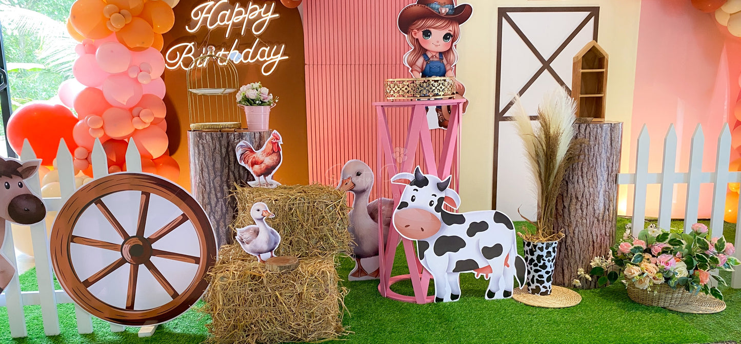 Farm Theme 2nd Birthday Decoration