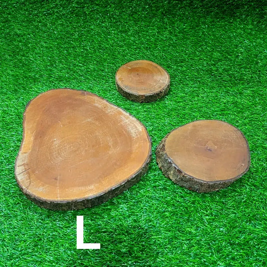 Log slices (L) for Rent