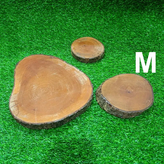 Log slices (M) for Rent