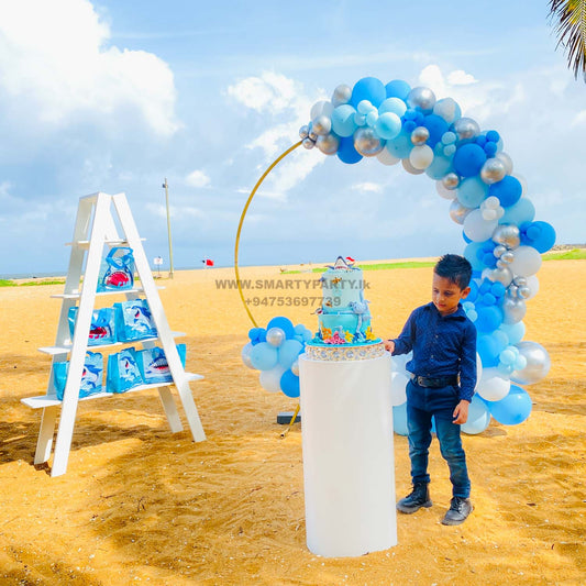 Blue White Silver Ring Backdrop