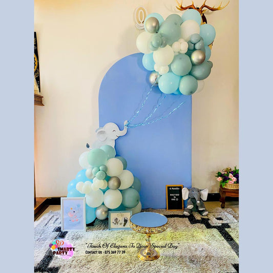 Baby Elephant Theme 1st Birthday Photoshoot