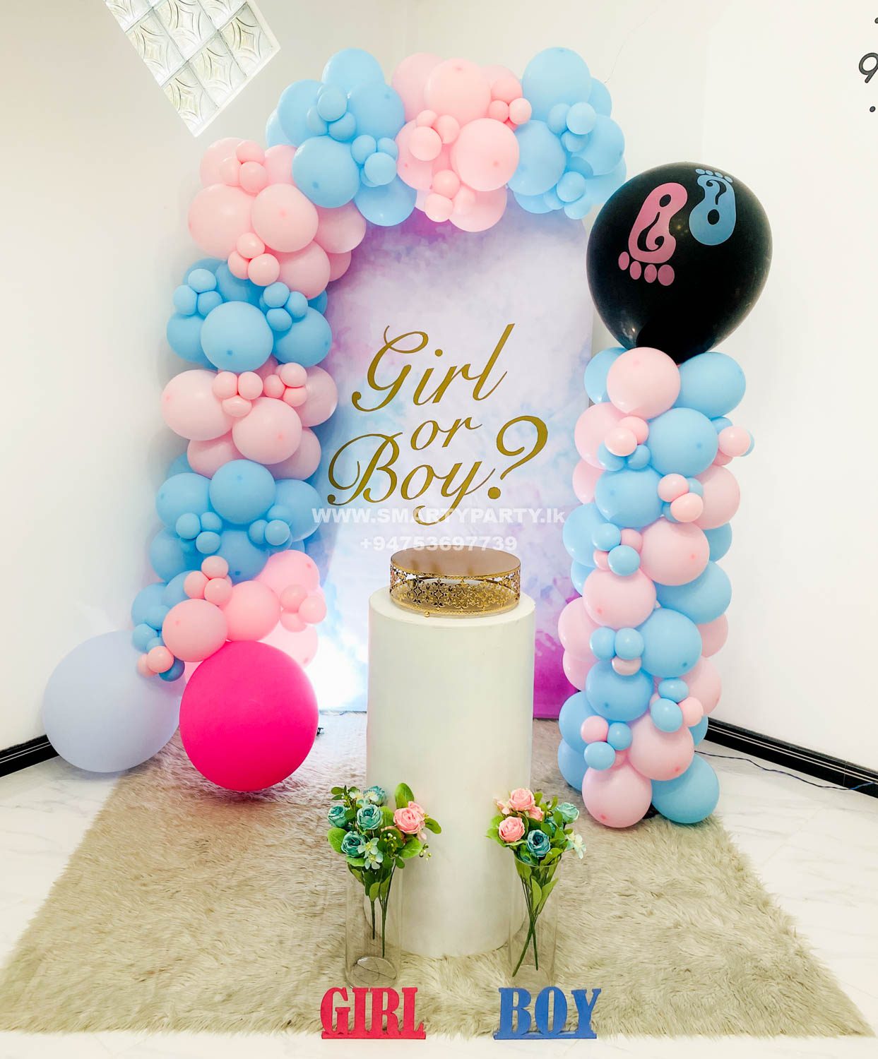Gender Reveal Flex Backdrop